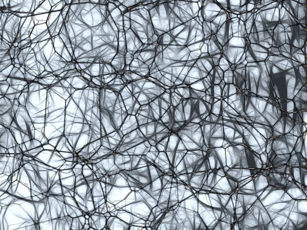 Simulation of the brain's neurons