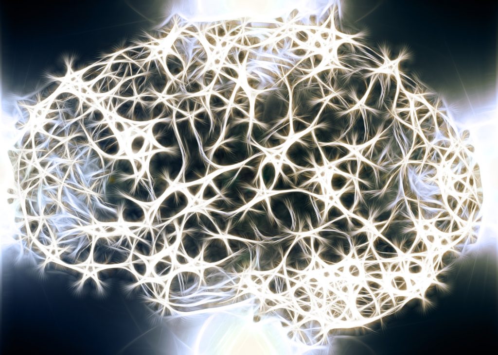 Simulation image of a brain